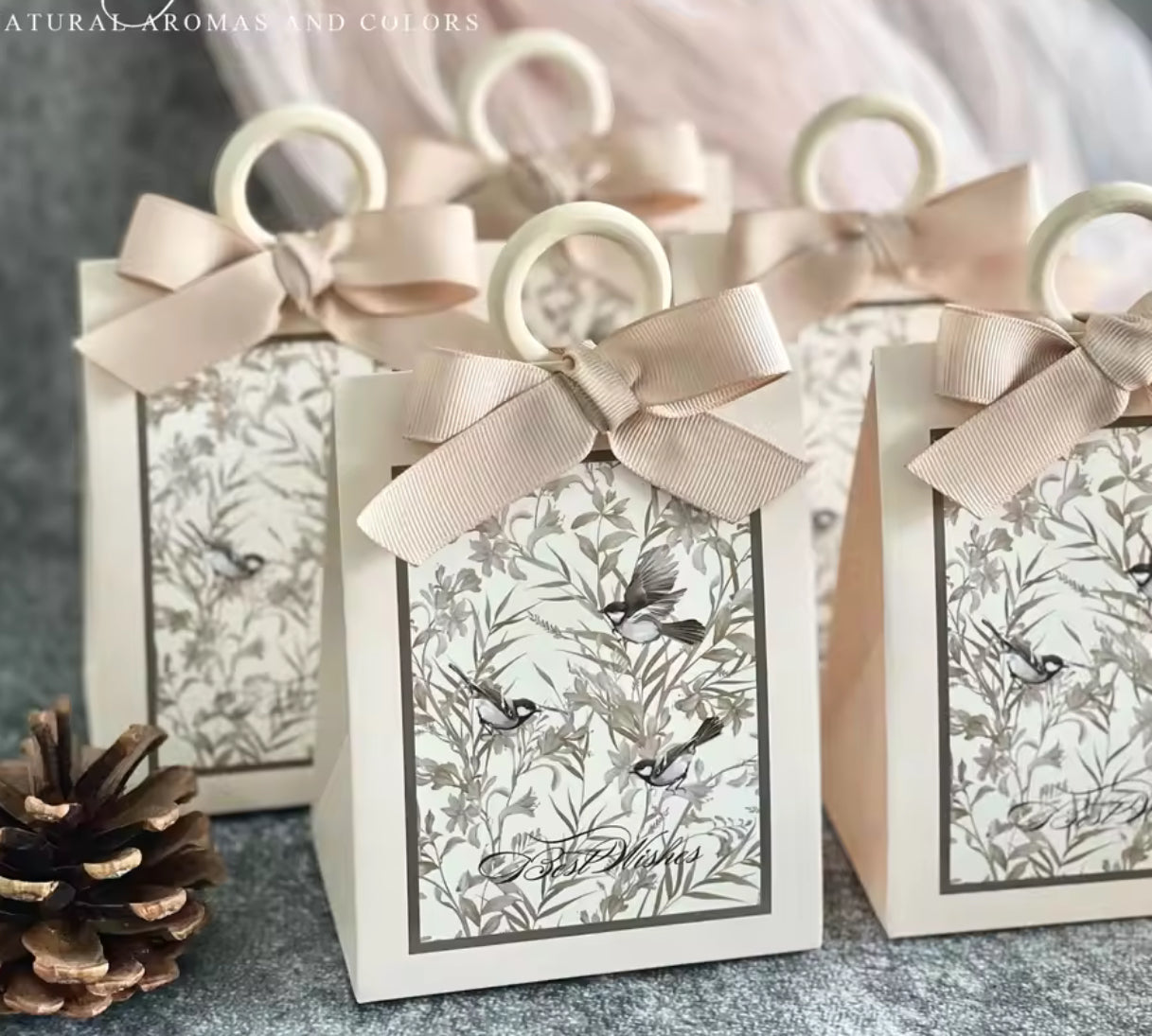 توزيعات بوكسات مع فيونكا عدد 10 - بيج